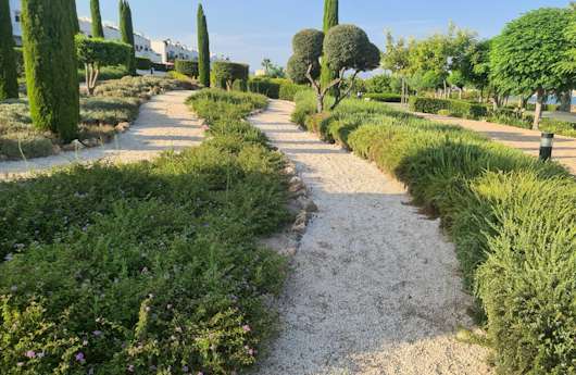 Elagueur Sausset-les-Pins